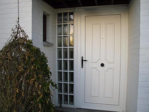 Je vends une porte d'entrée et un panneau de briques de verr, Doe-het-zelf en Bouw, Raamkozijnen en Schuifdeuren, Ophalen