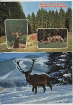 5 postkaarten herten gelopen, Wild dier, Gelopen, Verzenden
