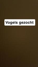 Vogels, Ophalen of Verzenden