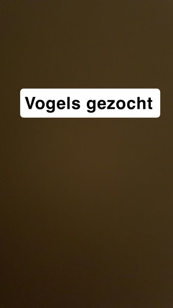 Vogels, Animaux & Accessoires, Oiseaux | Cages & Volières, Enlèvement ou Envoi