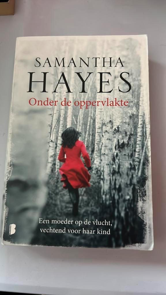 Onder de oppervlakte Samantha Hayes, Boeken, Thrillers, Zo goed als nieuw, Ophalen of Verzenden