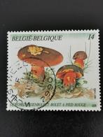 Belgie 1991 - champignons - gewone heksenboleet, Ophalen of Verzenden, Gestempeld