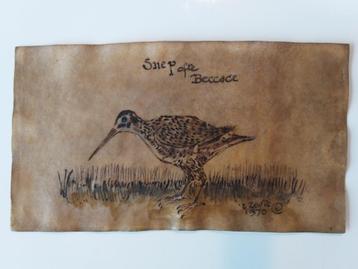 tekening snep op perkament beschikbaar voor biedingen