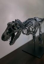 3D T-REX skeletmodel 1m10, Collections, Collections Animaux, Crâne, Autres, Enlèvement, Neuf