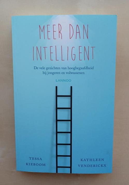 Meer dan intelligent - Hoogbegaafdheid, Boeken, Psychologie, Zo goed als nieuw, Ophalen of Verzenden