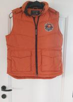 Bodywarmer River Woods maat 16 jaar, River woods, Ophalen of Verzenden, Zo goed als nieuw, Jongen