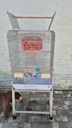 Cage pour perroquet, Ophalen, Zo goed als nieuw
