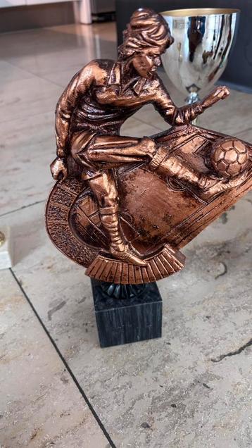 Voetbalbekers zijn in nieuwstaat beschikbaar voor biedingen