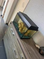 Aquarium inclusief 3 vissen, Ophalen of Verzenden, Zo goed als nieuw