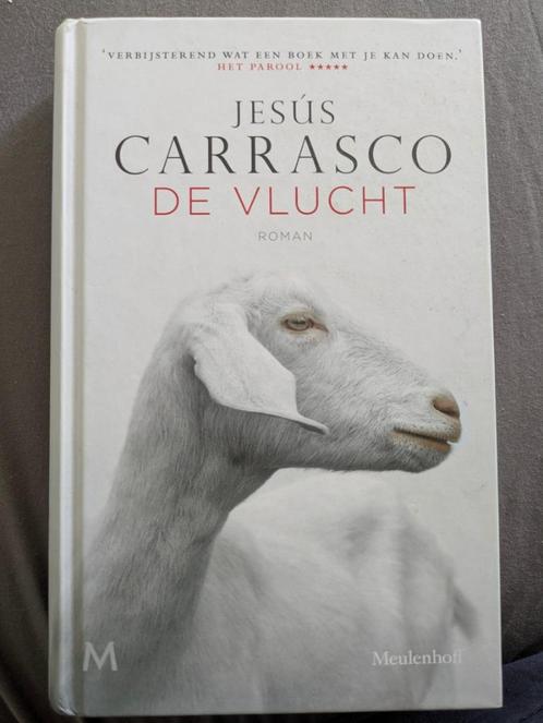 De Vlucht, Boeken, Romans, Zo goed als nieuw, België, Ophalen of Verzenden