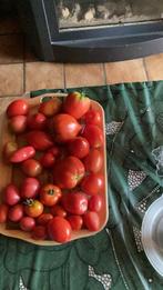 tomaten tuin, Ophalen