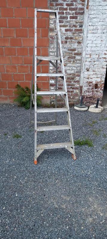 Professionele trapladder 5 treden,merk Petry beschikbaar voor biedingen