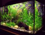 OVERNAME VAN JOU  AQUARIUMS EN VISSEN, Ophalen
