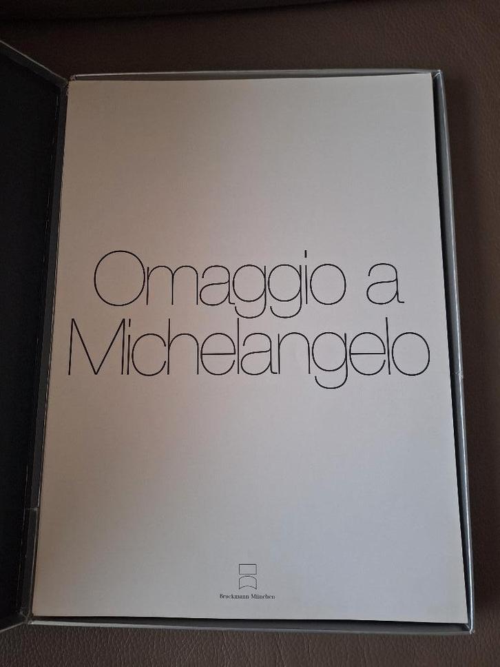 Omaggio a Michelangelo - David Hockney, e.a., Antiek en Kunst, Kunst | Litho's en Zeefdrukken, Ophalen of Verzenden