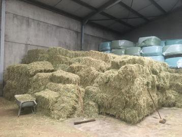 kleine balen hooi te koop beschikbaar voor biedingen