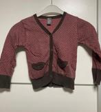Zara vestje maat 110, Meisje, Trui of Vest, Ophalen of Verzenden, Zo goed als nieuw