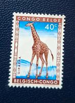 Timbre OBP 352** du Congo belge, Enlèvement ou Envoi, Non oblitéré, Neuf