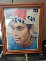Eddy Merckx foto/krantenknipsel in kader, Ophalen, Zo goed als nieuw