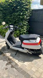Niu NQI 45 km construit en 2022, Vélos & Vélomoteurs, Scooters | Peugeot, Enlèvement, Comme neuf