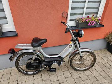 Honda camino 25cc, Enlèvement