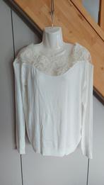 pull fin TL, Kleding | Dames, Ophalen of Verzenden, Nieuw, Wit