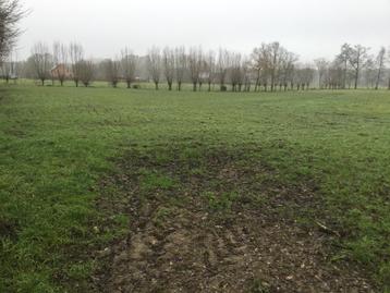 Te huur weide voor dieren +/- 8000m2 beschikbaar voor biedingen