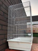 Vogel kooi, Ophalen, Gebruikt, Metaal, Vogelkooi