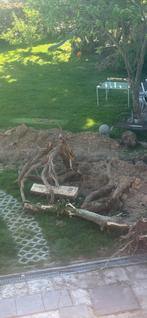 Om veel boomstronken te geven, Tuin en Terras, Brandhout, Ophalen