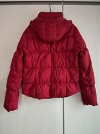 Doudoune Esprit M plumes et duvet, Maat 38/40 (M), Zo goed als nieuw, Rood