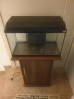 Te koop aquarium Aquatlantis + onderkastje !!, Dieren en Toebehoren, Ophalen, Zo goed als nieuw