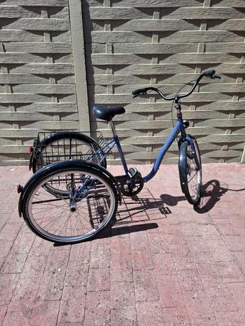 Driewieler voor volwassenen Eco Trike, Ophalen, Zo goed als nieuw, Eco Trike