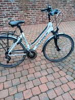 Vrouwenfiets te koop merk thompson, Gebruikt, 47 tot 50 cm, Versnellingen, Ophalen