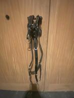 Borstriem, Dieren en Toebehoren, Ophalen of Verzenden, Zo goed als nieuw, Springen