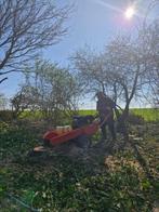 Stomp trimmen/stronk verwijderen, Tuin en Terras