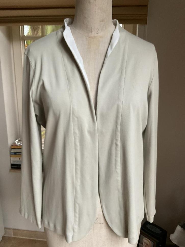 Loshangend vestje , Fabiana Filippi, maat 42 (44), Kleding | Dames, Jasjes, Kostuums en Pakken, Jasje, Maat 42/44 (L), Beige, Ophalen of Verzenden
