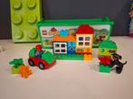 Opbergdoos Duplo met set, Ophalen of Verzenden, Zo goed als nieuw, Duplo