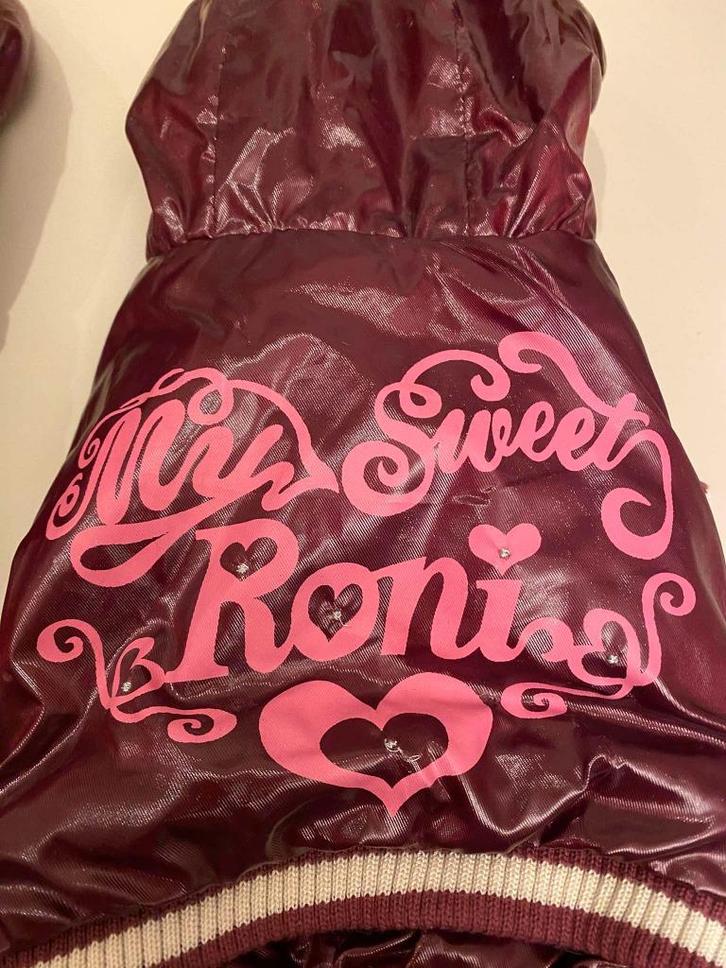 Leuke skipakjes aan outletprijs., Dieren en Toebehoren, Hondenkleding, Nieuw, Hondentrainingspak, Ophalen of Verzenden