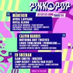 2x ticket Pinkpop zondag, Tickets en Kaartjes, Evenementen en Festivals