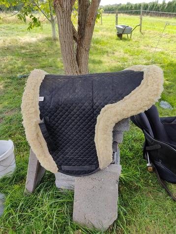 Zadelvormig wolletje Full beschikbaar voor biedingen