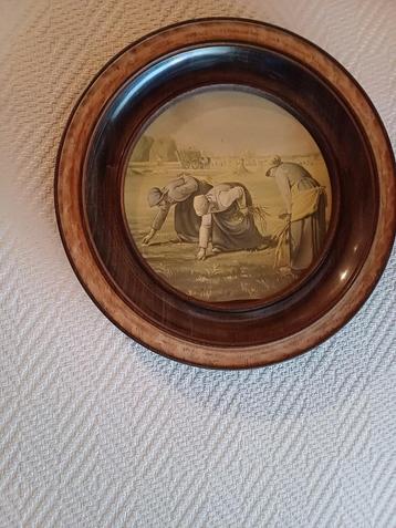 aaardappelrapers beschikbaar voor biedingen