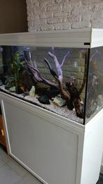 Aquarium aquatlantis 100x40x60 met bijhorende kast, Dieren en Toebehoren, Vissen | Aquaria en Toebehoren, Ophalen, Gebruikt