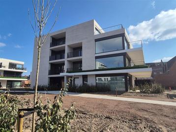 Appartement te huur in Arendonk, 1 slpk, Immo, 20 kWh/m²/jaar, Appartement, 1 kamers, 6908 m²