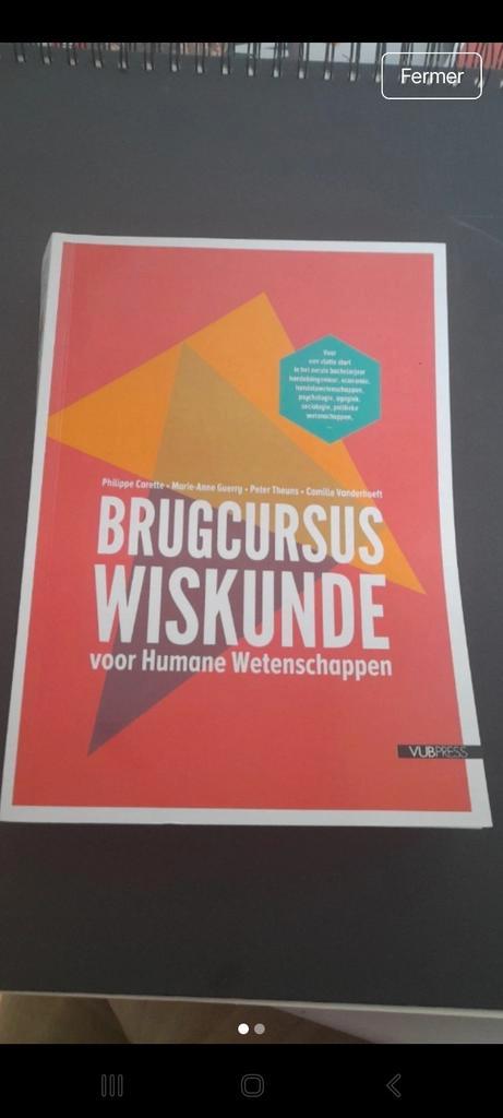 Philippe Carette - Brugcursus wiskunde, Boeken, Schoolboeken, Zo goed als nieuw, Economie, Ophalen of Verzenden
