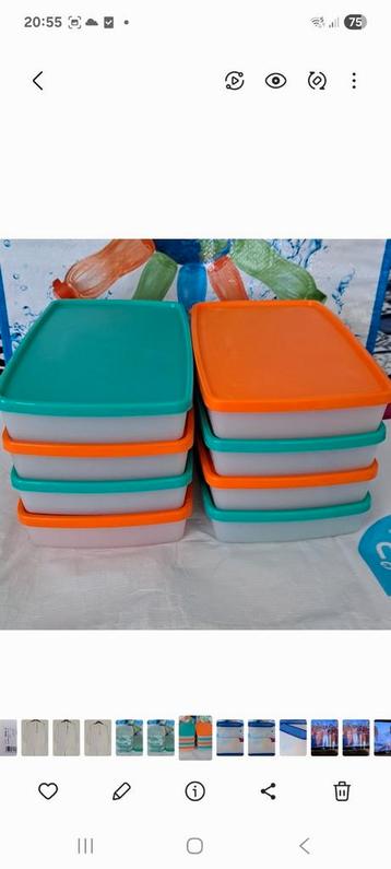 Tupperware Antarctica diepvriesdozen 650 ml .Nieuw  beschikbaar voor biedingen