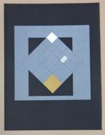 GUY VANDENBRANDEN / KUNST CAMPUS / KLEURZEEFDRUK / 72x55cm, Antiek en Kunst, Kunst | Litho's en Zeefdrukken, Ophalen of Verzenden