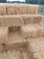 Kleine en groote pakke stro, Dieren en Toebehoren, Dierenvoeding, Ophalen