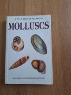 A field guide in Colour to Molluscs, Ophalen of Verzenden, Schelp(en)