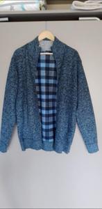 heren gillet, Kleding | Heren, Truien en Vesten, Ophalen of Verzenden, Nieuw, Overige maten, Blauw