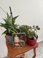 Planten, deco en plantenstaander retro, Ophalen of Verzenden