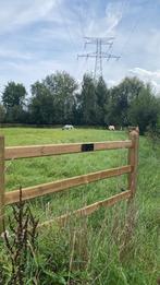 Omheinde weides met schuilstal, Dieren en Toebehoren, Stalling en Weidegang, Weidegang